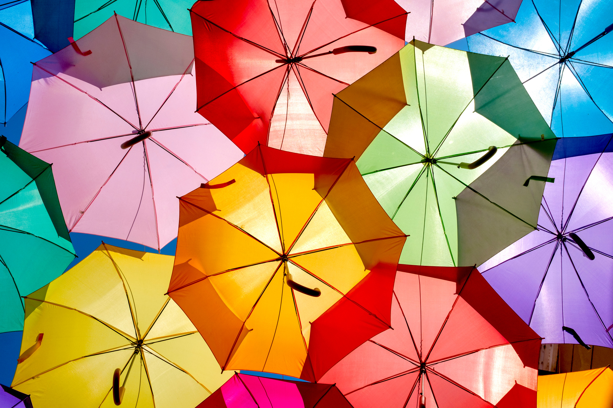 Colorful Umbrellas